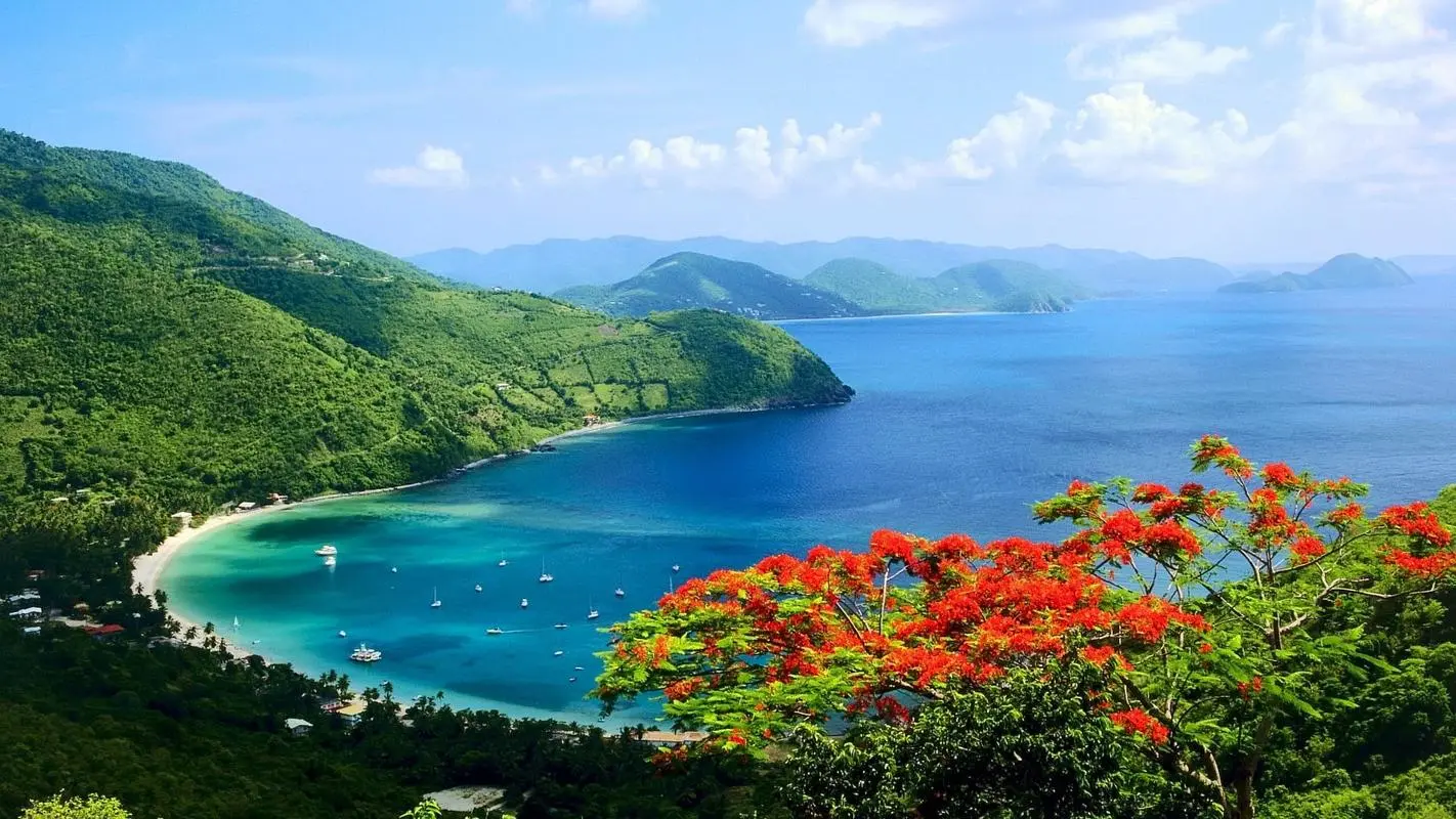 高标准全自动自动化